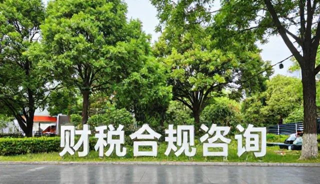 财税合规咨询选型关注点及常见问题处理方法